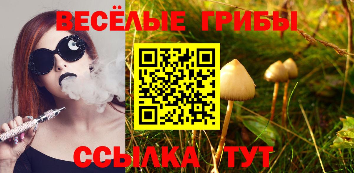 Чистополь  Галлюциногенные грибы прущие грибы  Вход с VPN 