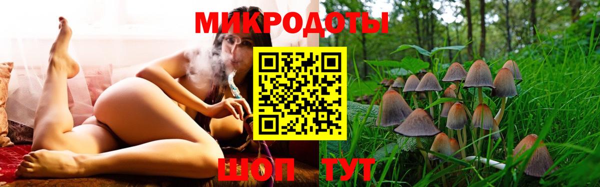 Псилоцибиновые грибы Psilocybe Чистополь